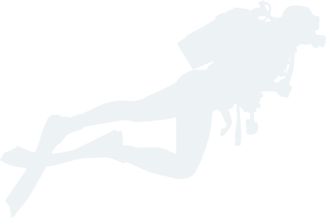 半岛体育APP